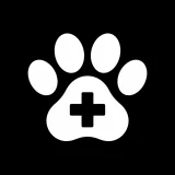 pets-animal-care